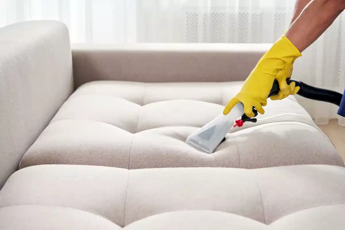 Nubuk Koltuk Neyle Silinir?