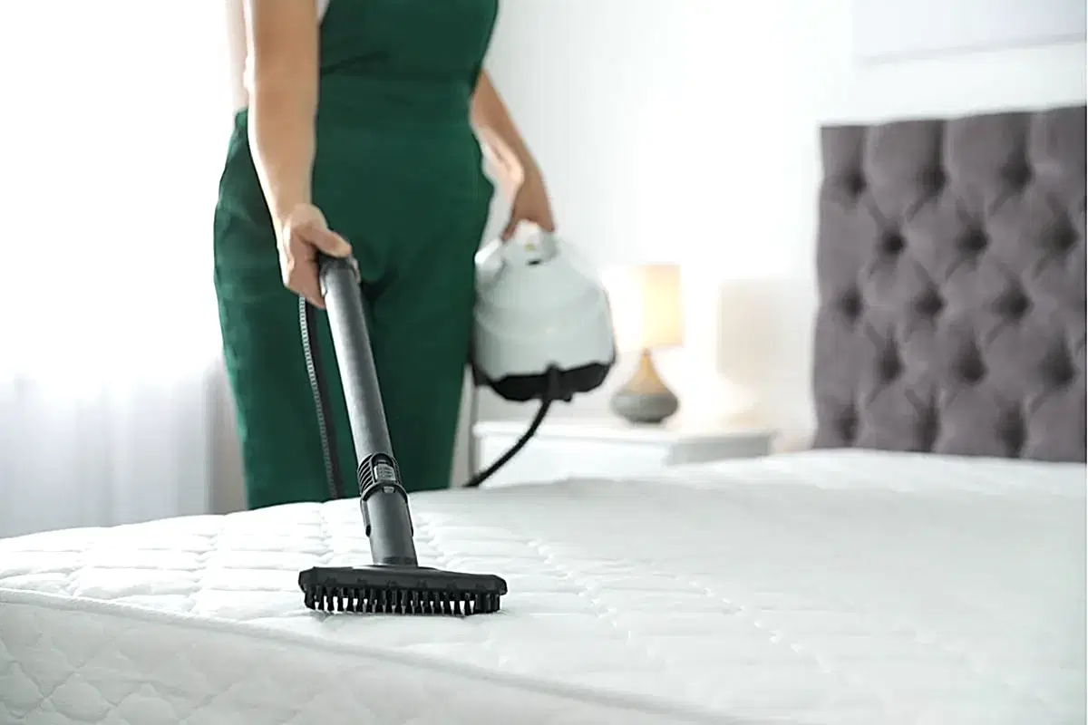 Yataktan Kedi Çişi Kokusu Nasıl Çıkar?