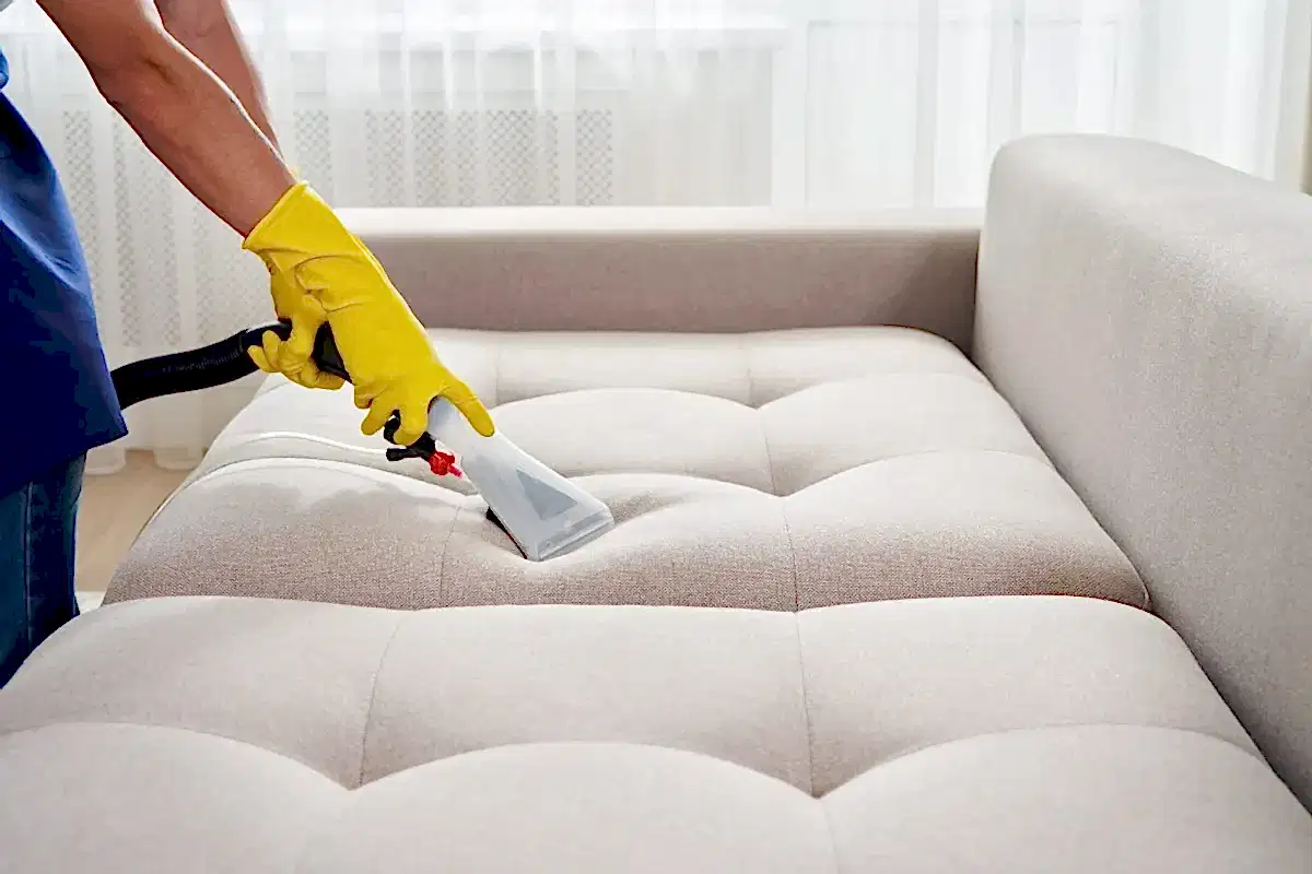 Kedi Kokusu Nasıl Geçer?