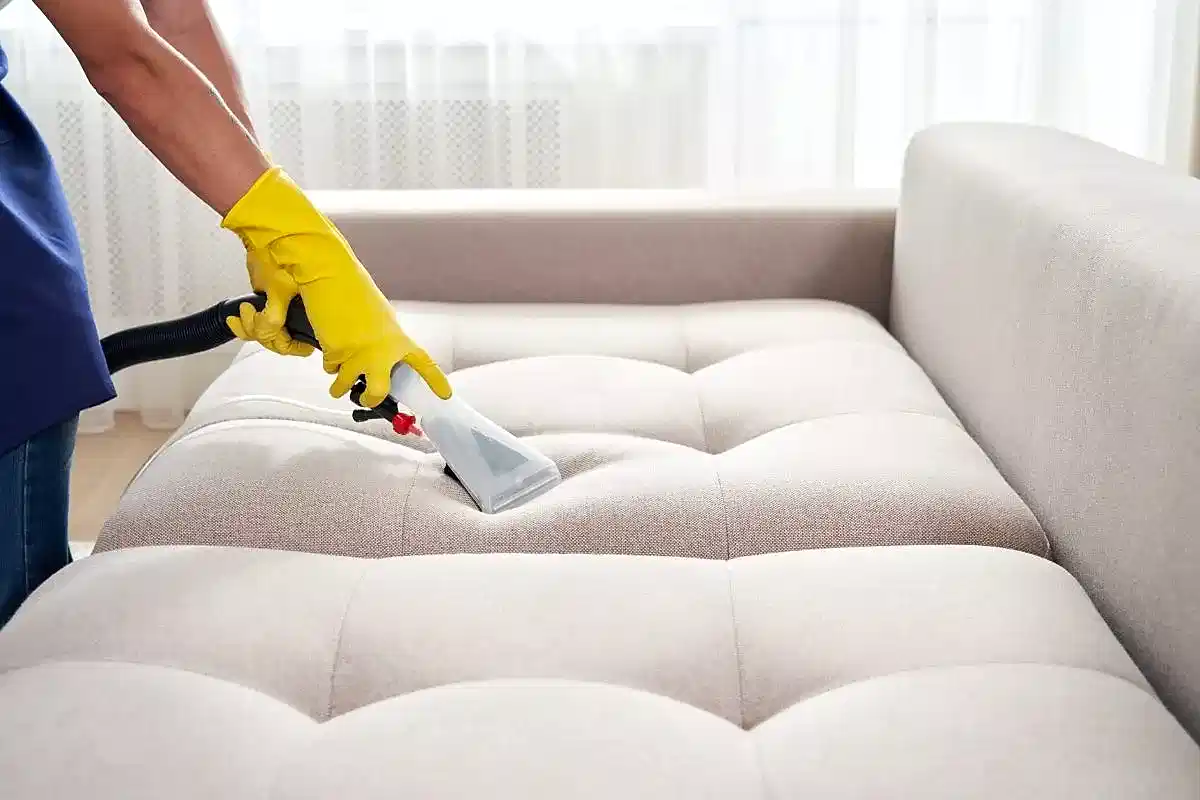 Evdeki Kedi Kokusu Nasıl Giderilir?