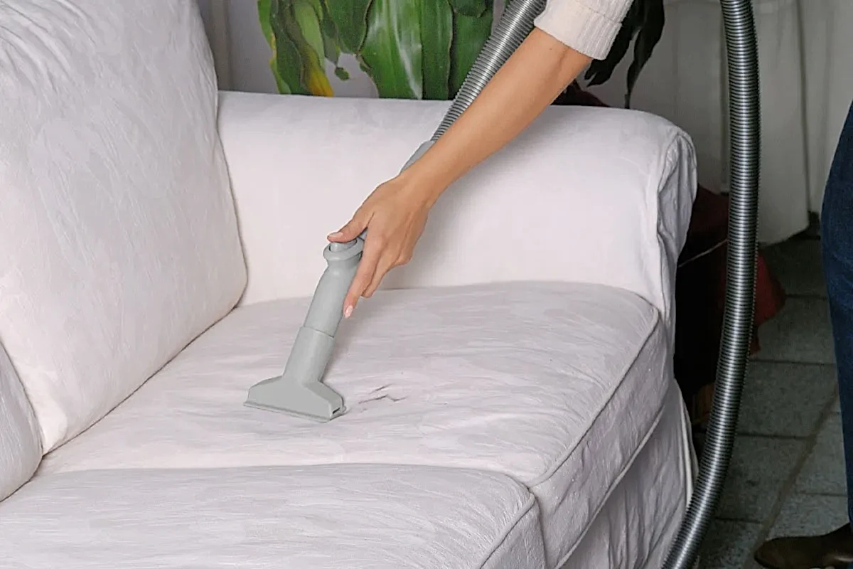 Kedi Çişi Kokusu Nasıl Geçer?