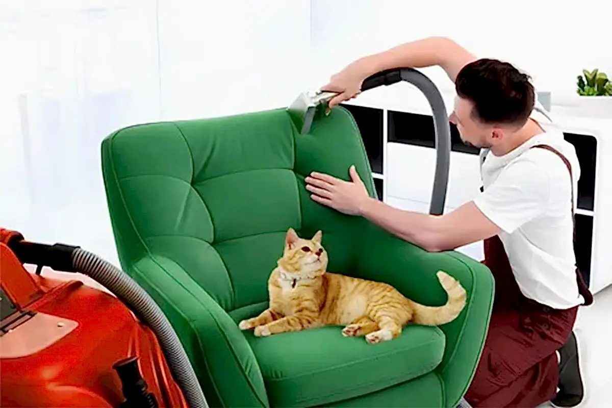 Ev Dışı Kullanıma Özel Sandalye Temizliği