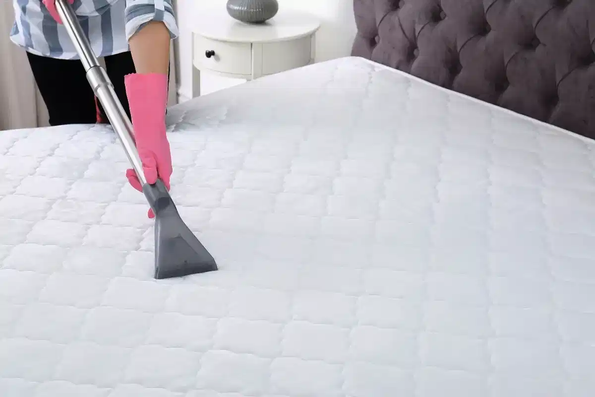 Aşağı Eğlence Mahallesi Yatak Yıkama