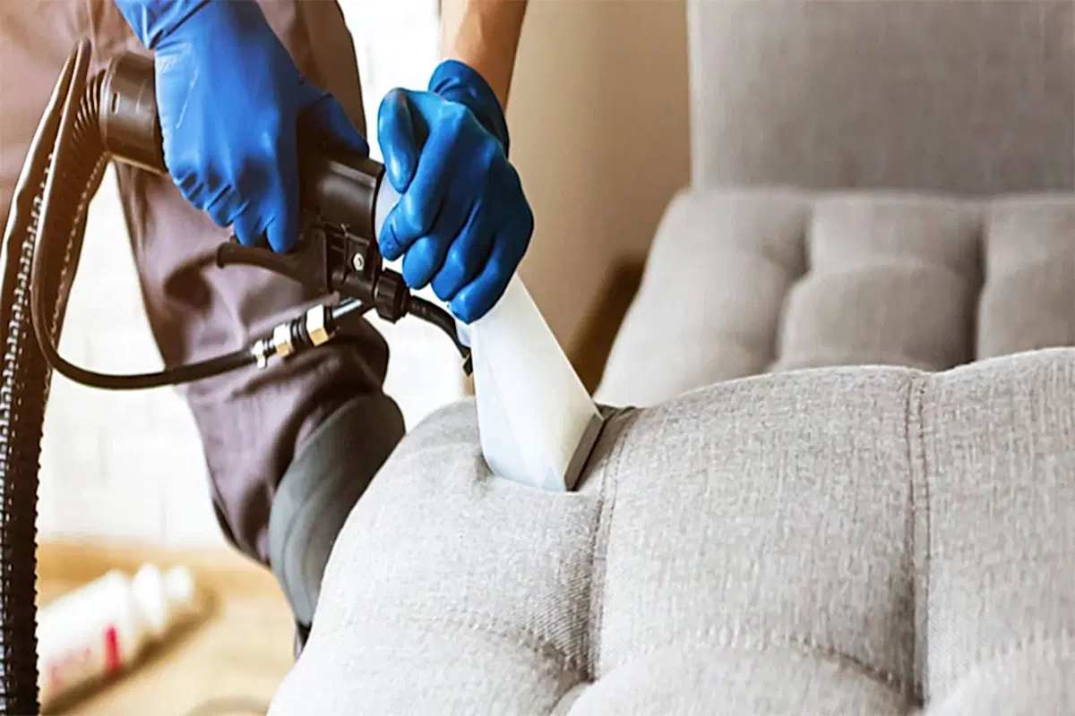 Koltuk Temizliğinde Sık Sorulan Sorular (SSS)